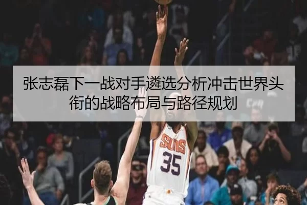 张志磊下一战对手遴选分析冲击世界头衔的战略布局与路径规划 | aoko